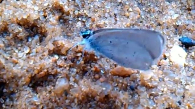 2022-02-04_7060831687239896321