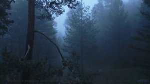 Каждый кадр этого видео превращает музыку в чувство, которое невозможно забыть - Save Yourself -- Ma