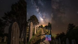 Кладбищенская ловушка. Что вам никогда не рассказывали о смерти, погребении и душе