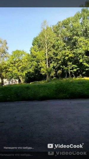 1000073570.mp4