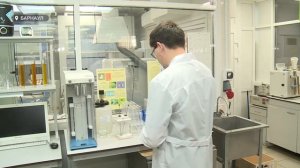 В Алтайском крае начали исследовать качество озимой пшеницы