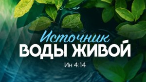 Источник воды живой | Ин. 4:14 || Алексей Коломийцев