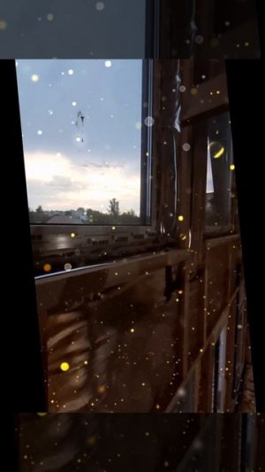 1000030459.mp4 (Собака наблюдает за креплением каркаса для имитации бруса в доме А-фрейм)