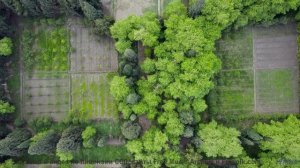 Когда музыка и природа создают магию, которую нельзя забыть - Aniseed Grove -- One Man Book -- Life