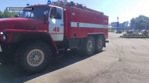 День с Толком 28.07.2025