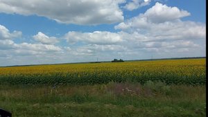 Выходные пролетели быстро