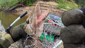 🎣ОТКРЫТИЕ СЕЗОНА 2025🎣fishing #туризм#природа#ловля#рыбалка #щука#ловлящуки##ночевка#Чулым#река#