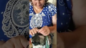 После бани надо подкрепиться