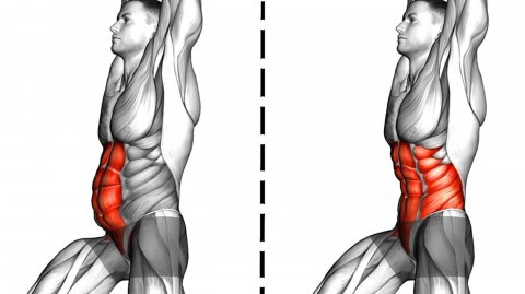 Упражнения на Пресс без Оборудования