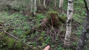 Вальдшнеп обманул собаку