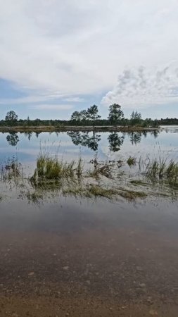 Ох держись, Приамурье моё..  Да обойдется. Наверное.