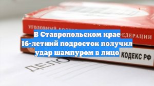 В Ставропольском крае 16-летний подросток получил удар шампуром в лицо