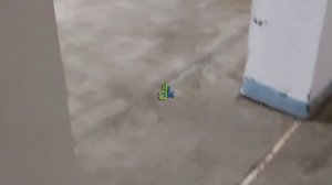 Мокрая стяжка пола по маякам Москва