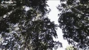 1000003884.mp4