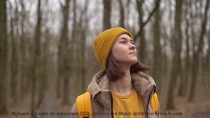 Этот трек и эти виды заставят тебя по-новому понять слово гармония - Dream I was in Canada (ID 739)
