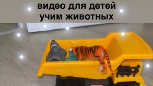 Видео для детей про животных