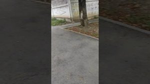 Мир природы🍃