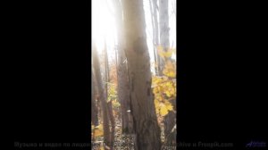 Ты поймёшь, что такое истинная гармония после этого клипа - Self Forgiveness 2 -- Kirk Osamayo -- Se