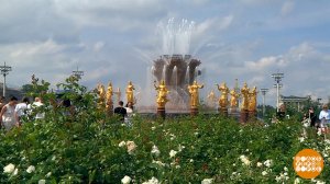 Фонтан - не бассейн! Доброе утро. Фрагмент выпуска от 28.07.2025