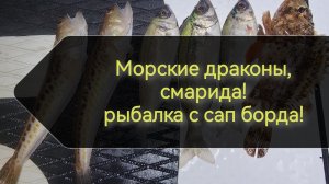 Рыбалка с сап борда! Драконы, смарида!