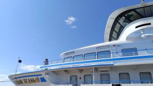 4-х местная каюта теплоход Демьян Бедный, круиз выходного дня на Ленские столбы