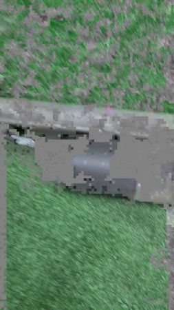 8036599