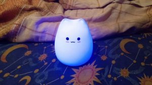 Очень милый котик! ^^