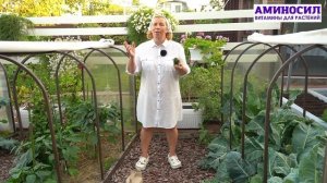 🌶 Советы, как помочь перцам справиться с капризной погодой 🌿