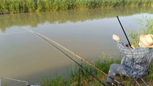 Такого не было, что бы рыба выпрыгивала и смотрела кто пришёл.