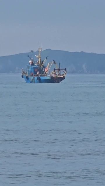 Пляж Лукина теперь свалка! Кто ответит за уничтожение побережья? смотреть онлайн