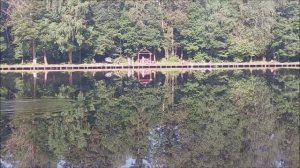 Утренний обзор с нижнего водоёма. Клёвое место, Лосиный остров.