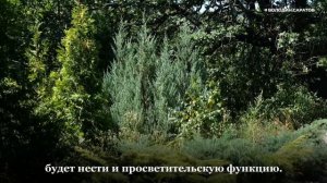 Володин в Ботаническом саду СГУ: "Люди ждут его открытия"
