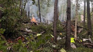 Президент Алжира выразил соболезнования в связи с крушением Ан-24