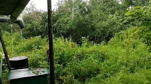 Звуки дождя и грома. Для расслабления и сна