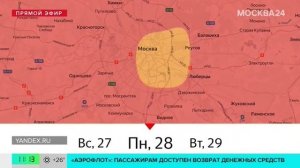Полынь зацвела в Москве раньше времени