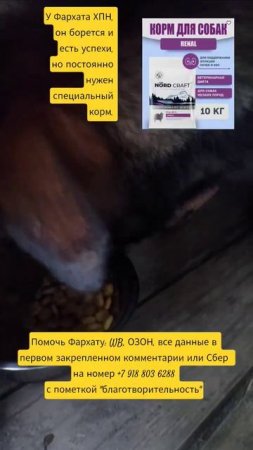 НАС100=99хвостиков+1человек!