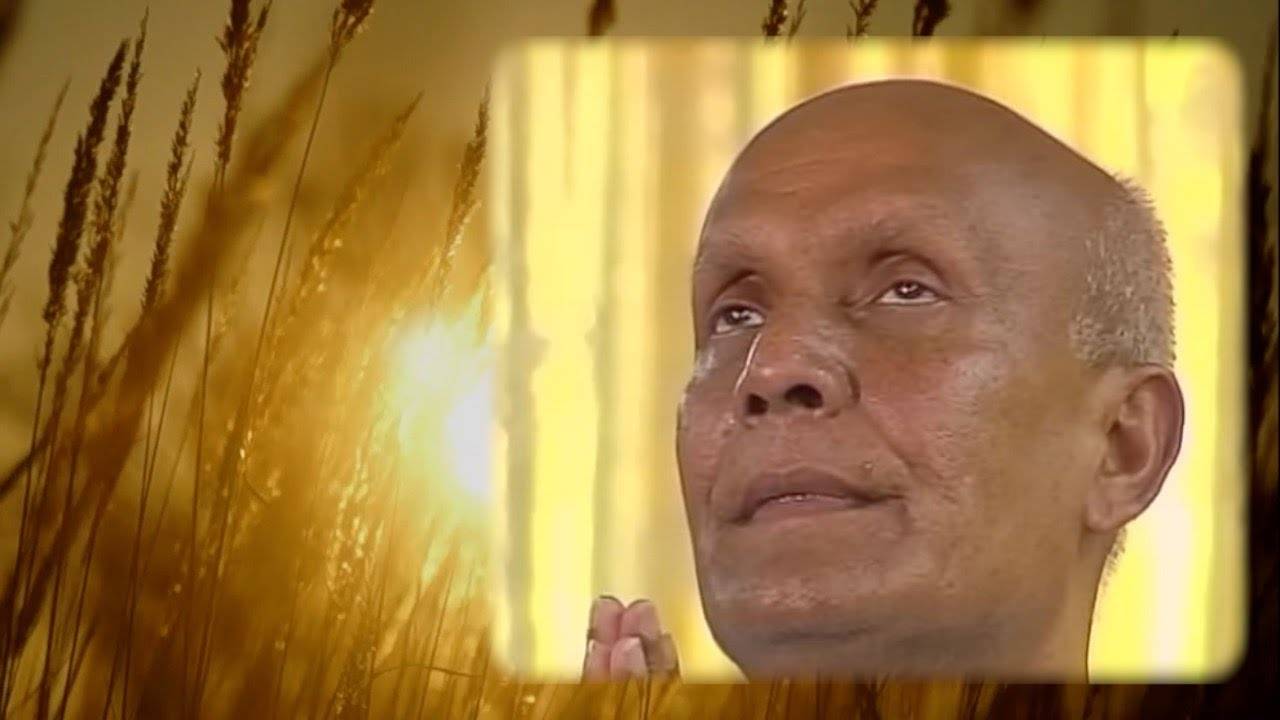 "Шри Чинмой медитирует", том 2. Автор видео Кедар Мисани