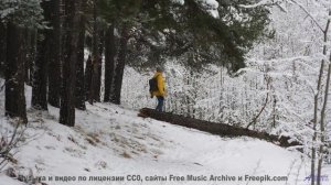 Камера взлетает в небо под этот потрясающий бит - Stay Awhile -- Ayla Nereo -- Play Me a Time