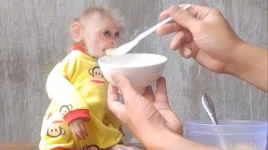 Обезьянка крошка умничка еле ест папину стряпню Он запихивает ложку Она назад УХАТАЙКА СМЕШНО ДО СЛЕ