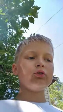 л