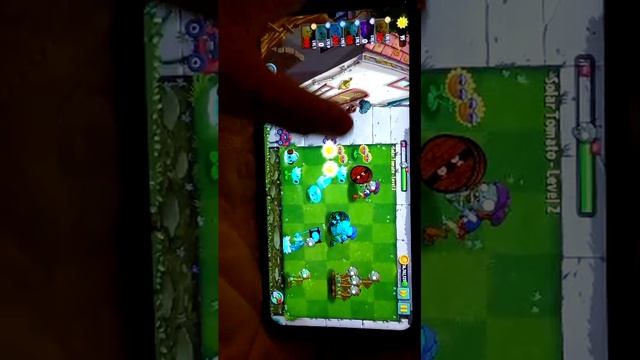 Event plants VS ZOMBIES (прохождение)