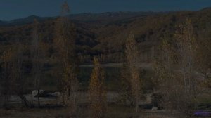 Эта песня - ваш секретный код для спонтанных путешествий - Raccoon Family Robinson -- Podington Bear