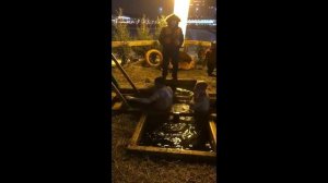 Купание в ночи. (серия руссие традиции).  (2)