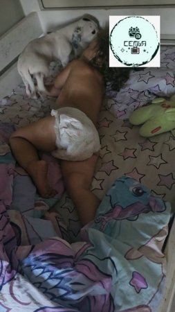 КАК АККУРАТНО БЕЗ СЛЕЗ РАЗБУДИТЬ МАЛЕНЬКОГО РЕБЁНКА ПОКАЖЕТ В ЭТОМ ЩЕНОК ДжекВИНИ