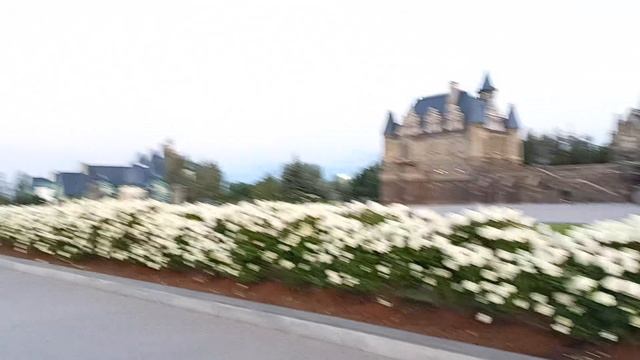 Летучая мышь в замке Гарибальди смотреть онлайн