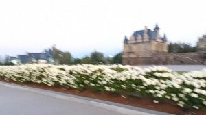 Летучая мышь в замке Гарибальди