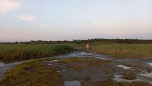 Белое море, есть и такое.
