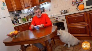 Чтобы сердце было здоровым. Доброе утро. Фрагмент выпуска от 28.07.2025