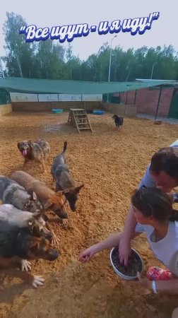 "Кто ходит в гости по утрам???" ❥ Приют в Малинках