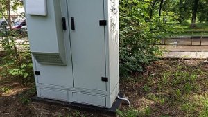 Грибы у дома.